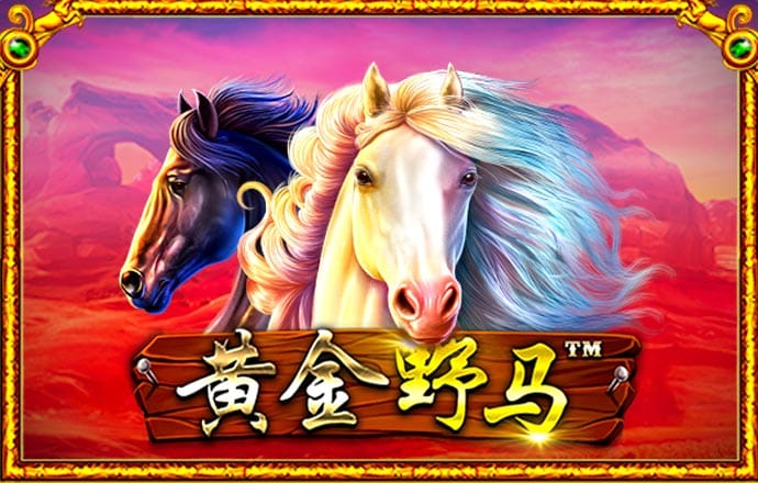 官方4G娱乐APP
